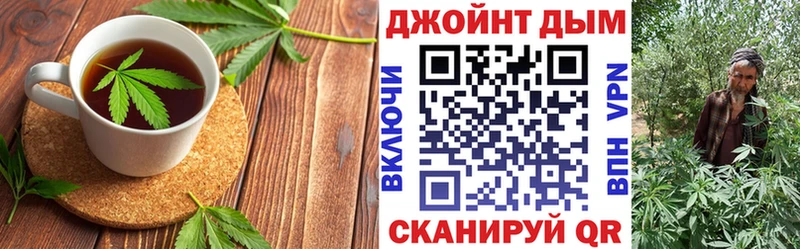Купить где  Карабаново  Canna-Cookies конопля 