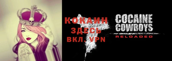 прущие грибы Козловка