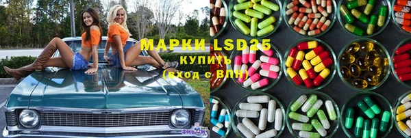 прущие грибы Козловка