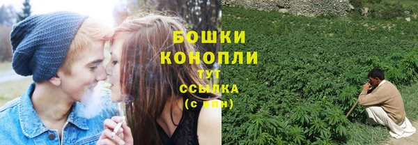 прущие грибы Козловка