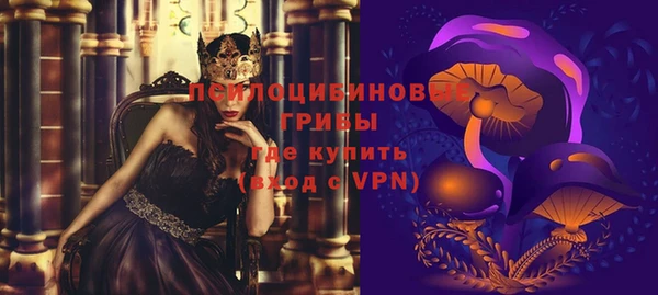 прущие грибы Козловка