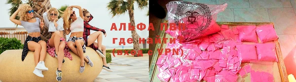 прущие грибы Козловка