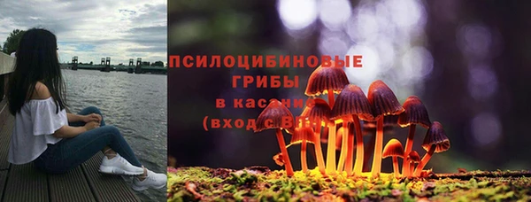 прущие грибы Козловка